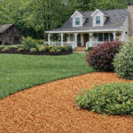 Cedar Mulch
