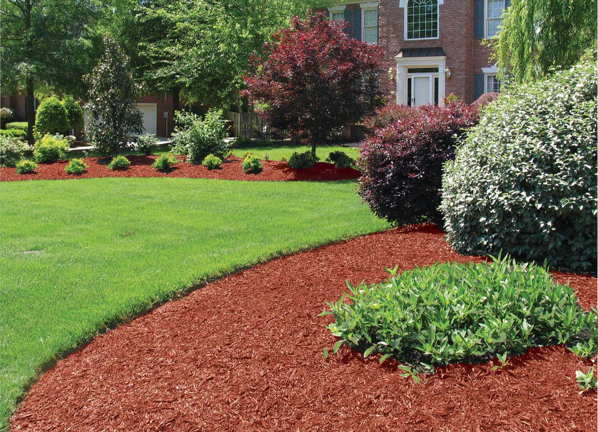 Garden Mulch Ideas to Revamp Your Garden and Landscape
