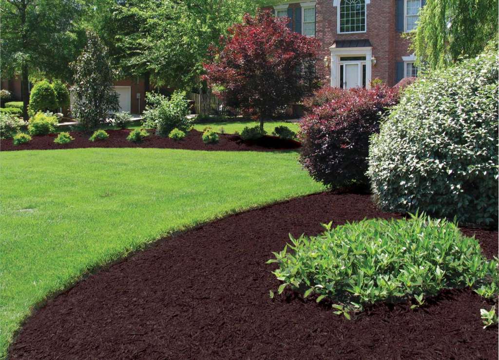 Cedar Mulch, Brown Maple Row Farm