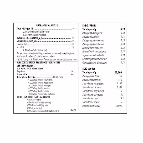 Roots Healthy Start - Image 2