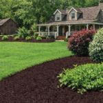 Grower's Choice Cocoa Mulch
